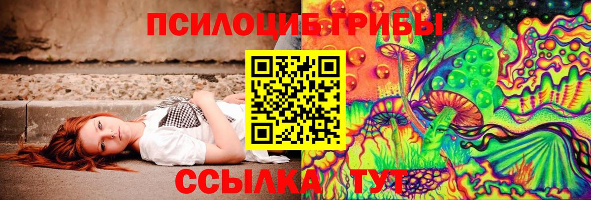 даркнет сайт  Вход с VPN  Дедовск  Псилоцибиновые грибы Psilocybe  Псилоцибиновые грибы Cubensis 