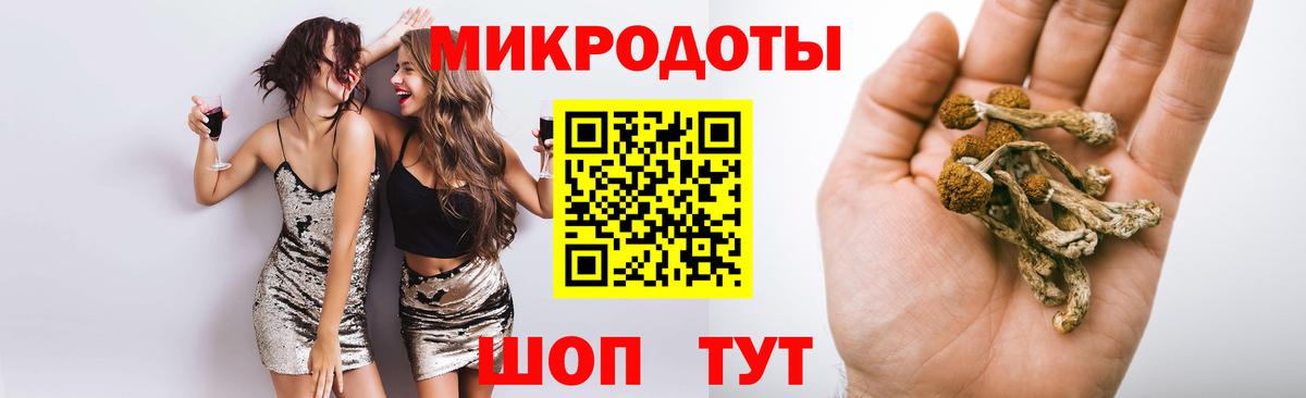 Псилоцибиновые грибы мухоморы Дедовск